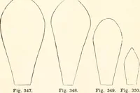 An illustration from How to amuse yourself and others. The American girl's handy book (1887)