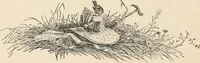 An illustration from How to amuse yourself and others. The American girl's handy book (1887)