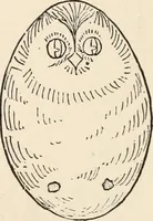 An illustration from How to amuse yourself and others. The American girl's handy book (1887)