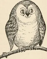An illustration from How to amuse yourself and others. The American girl's handy book (1887)