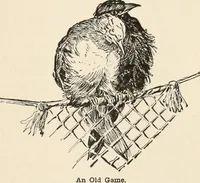 An illustration from How to amuse yourself and others. The American girl's handy book (1887)
