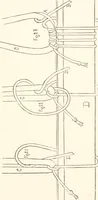 An illustration from How to amuse yourself and others. The American girl's handy book (1887)