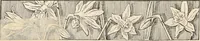 An illustration from How to amuse yourself and others. The American girl's handy book (1887)