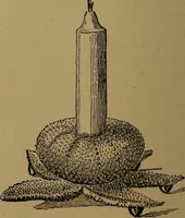 An illustration from How to amuse yourself and others : the American girl's handy book (1887)