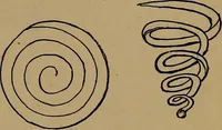 An illustration from How to amuse yourself and others : the American girl's handy book (1887)