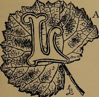 An illustration from How to amuse yourself and others : the American girl's handy book (1887)