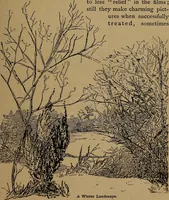 An illustration from How to amuse yourself and others : the American girl's handy book (1887)