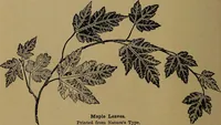 An illustration from How to amuse yourself and others : the American girl's handy book (1887)