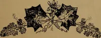 An illustration from How to amuse yourself and others : the American girl's handy book (1887)