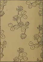 An illustration from How to amuse yourself and others : the American girl's handy book (1887)