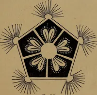 An illustration from How to amuse yourself and others : the American girl's handy book (1887)