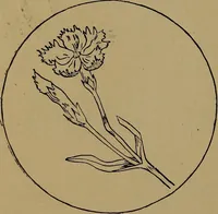 An illustration from How to amuse yourself and others : the American girl's handy book (1887)