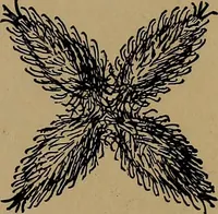 An illustration from How to amuse yourself and others : the American girl's handy book (1887)