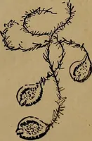 An illustration from How to amuse yourself and others : the American girl's handy book (1887)