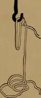 An illustration from How to amuse yourself and others : the American girl's handy book (1887)
