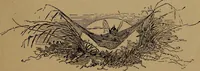 An illustration from How to amuse yourself and others : the American girl's handy book (1887)
