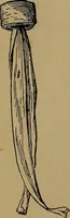 An illustration from How to amuse yourself and others : the American girl's handy book (1887)