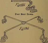An illustration from How to amuse yourself and others : the American girl's handy book (1887)