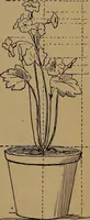 An illustration from How to amuse yourself and others : the American girl's handy book (1887)