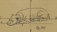 An illustration from How to amuse yourself and others : the American girl's handy book (1887)
