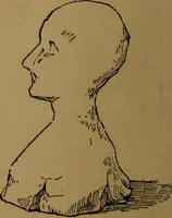 An illustration from How to amuse yourself and others : the American girl's handy book (1887)