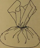 An illustration from How to amuse yourself and others : the American girl's handy book (1887)