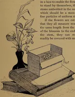 An illustration from How to amuse yourself and others : the American girl's handy book (1887)