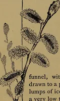 An illustration from How to amuse yourself and others : the American girl's handy book (1887)
