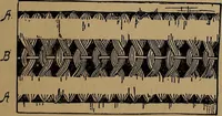 An illustration from How to amuse yourself and others : the American girl's handy book (1887)
