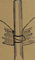An illustration from How to amuse yourself and others : the American girl's handy book (1887)