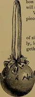 An illustration from How to amuse yourself and others : the American girl's handy book (1887)
