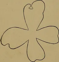 An illustration from How to amuse yourself and others : the American girl's handy book (1887)