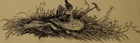 An illustration from How to amuse yourself and others : the American girl's handy book (1887)