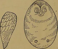 An illustration from How to amuse yourself and others : the American girl's handy book (1887)