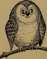 An illustration from How to amuse yourself and others : the American girl's handy book (1887)