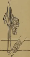 An illustration from How to amuse yourself and others : the American girl's handy book (1887)
