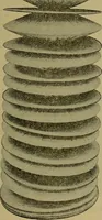 An illustration from How to build, equip and operate a cotton mill in the United States (1913)
