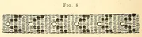 An illustration from How to do beadwork (1904)