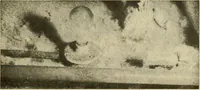 An illustration from How to improve woolen and worsted mill operations (1900)