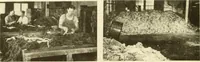 An illustration from How to improve woolen and worsted mill operations (1900)
