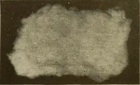 An illustration from How to improve woolen and worsted mill operations (1900)