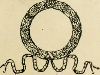 An illustration from How to know period styles in furniture; a brief history of furniture from the days of ancient Egypt to the present time, illustrated with over 300 typical examples and a brief description of each period (1913)