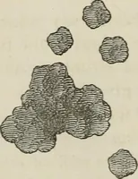 An illustration from How to lay out a garden : intended as a general guide in choosing, forming, or improving an estate, (from a quarter of an acre to a hundred acres in extent) with reference to both design and execution (1860)