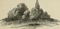 An illustration from How to lay out a garden : intended as a general guide in choosing, forming, or improving an estate, (from a quarter of an acre to a hundred acres in extent) with reference to both design and execution (1860)