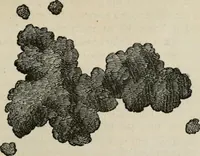Picture 24 of 164 from How to lay out a garden : intended as a general guide in choosing, forming, or improving an estate, (from a quarter of an acre to a hundred acres in extent) with reference to both design and execution (1860), leaf 114