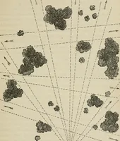 An illustration from How to lay out a garden : intended as a general guide in choosing, forming, or improving an estate, (from a quarter of an acre to a hundred acres in extent) with reference to both design and execution (1860)
