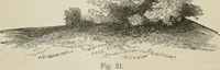 Picture 30 of 164 from How to lay out a garden : intended as a general guide in choosing, forming, or improving an estate, (from a quarter of an acre to a hundred acres in extent) with reference to both design and execution (1860), leaf 123