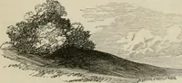 An illustration from How to lay out a garden : intended as a general guide in choosing, forming, or improving an estate, (from a quarter of an acre to a hundred acres in extent) with reference to both design and execution (1860)