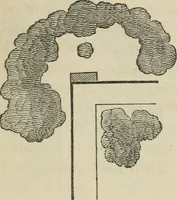 An illustration from How to lay out a garden : intended as a general guide in choosing, forming, or improving an estate, (from a quarter of an acre to a hundred acres in extent) with reference to both design and execution (1860)