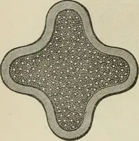 An illustration from How to lay out a garden : intended as a general guide in choosing, forming, or improving an estate, (from a quarter of an acre to a hundred acres in extent) with reference to both design and execution (1860)